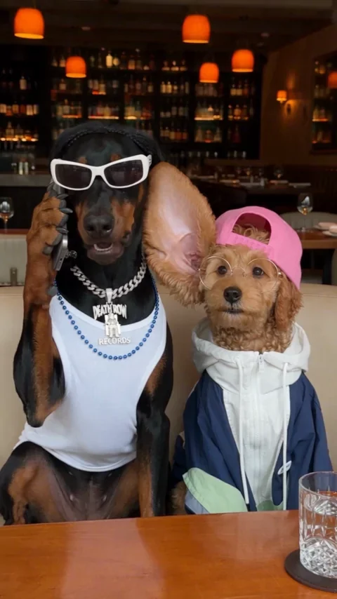 Pets with a secret