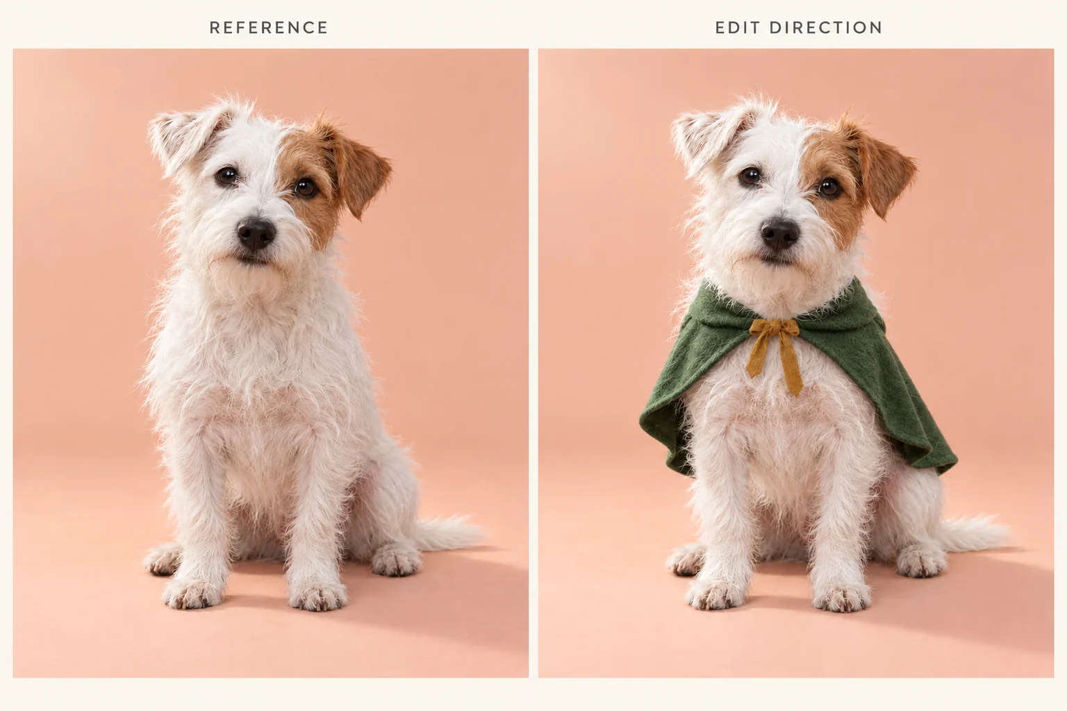 Creative reference comparison: the same terrier portrait before and after adding a green cape